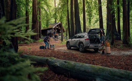 2026 Toyota RAV4 HEV Woodland Rear Three-Quarter Wallpaper 450x275 (98)