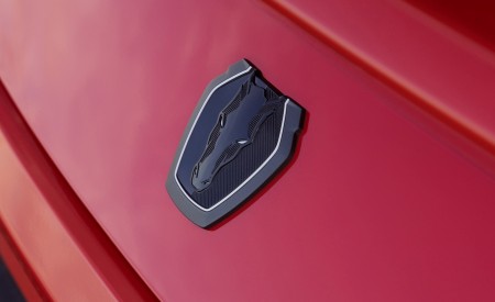 2026 Ford Mustang Dark Horse SC Badge Wallpaper 450x275 (41)