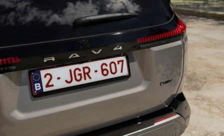 2026 Toyota RAV4 HEV Avantgarde Tail Light Wallpaper 450x275 (39)