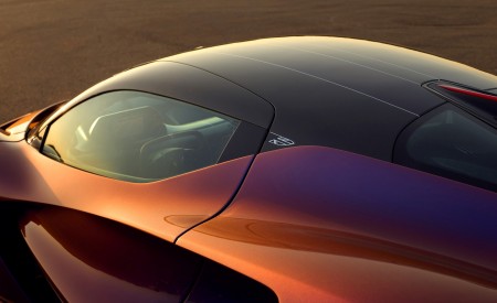 2025 Lotus Evija Detail Wallpaper 450x275 (30)