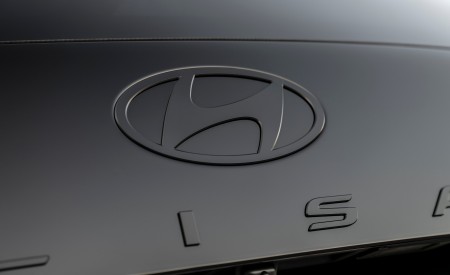 2027 Hyundai Palisade Hybrid Calligraphy Black Ink Edition Badge Wallpaper 450x275 (11)