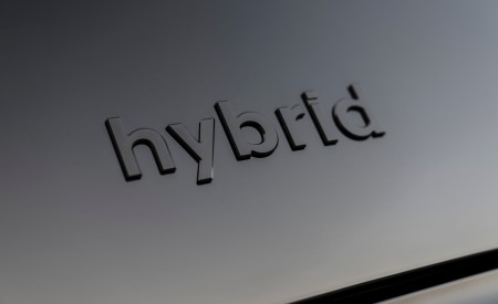 2027 Hyundai Palisade Hybrid Calligraphy Black Ink Edition Badge Wallpaper 450x275 (10)