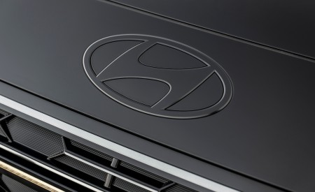 2027 Hyundai Palisade Hybrid Calligraphy Black Ink Edition Badge Wallpaper 450x275 (5)