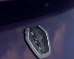 2027 Ford Mustang Dark Horse SC Convertible Badge HD Wallpaper 150x120 (15)